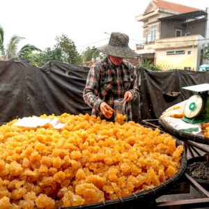 Golden cane jaggery drying on large trays